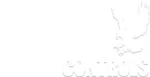 Saker Controls